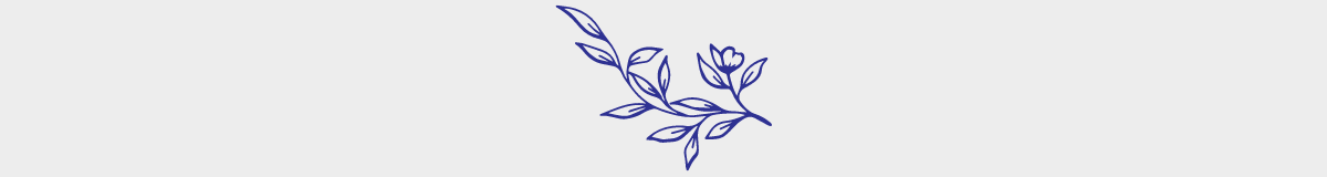 Flower illustration line drawing 